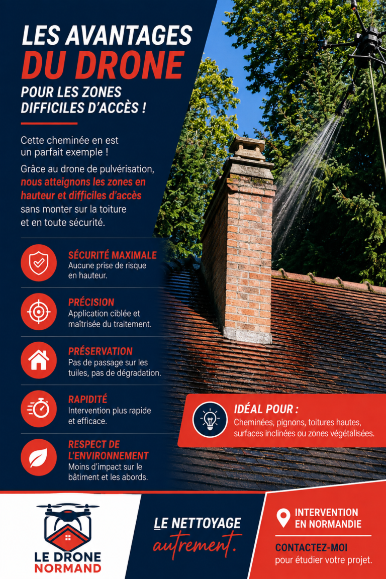 Nettoyage de cheminée et toiture à Gournay-en-Bray
