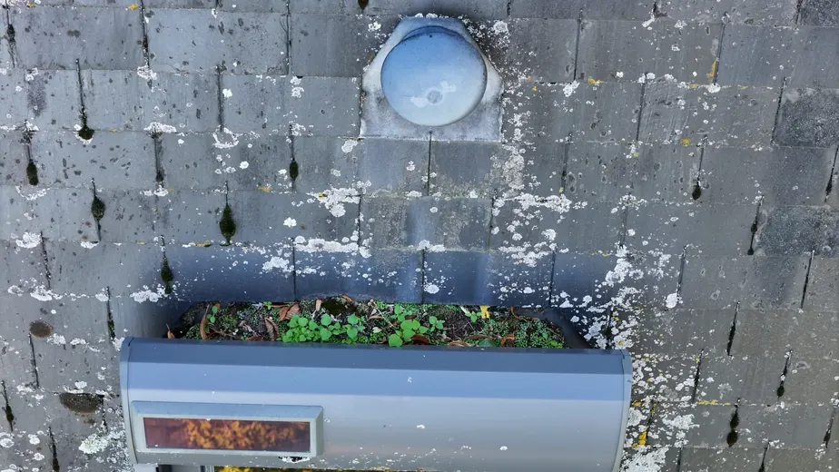 Toiture en ardoise tachée de lichens vue par drone lors d'une inspection