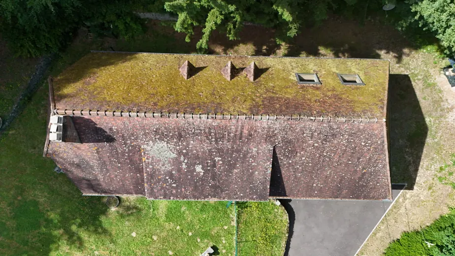 Toiture couverte de mousse photographiée par drone avant démoussage